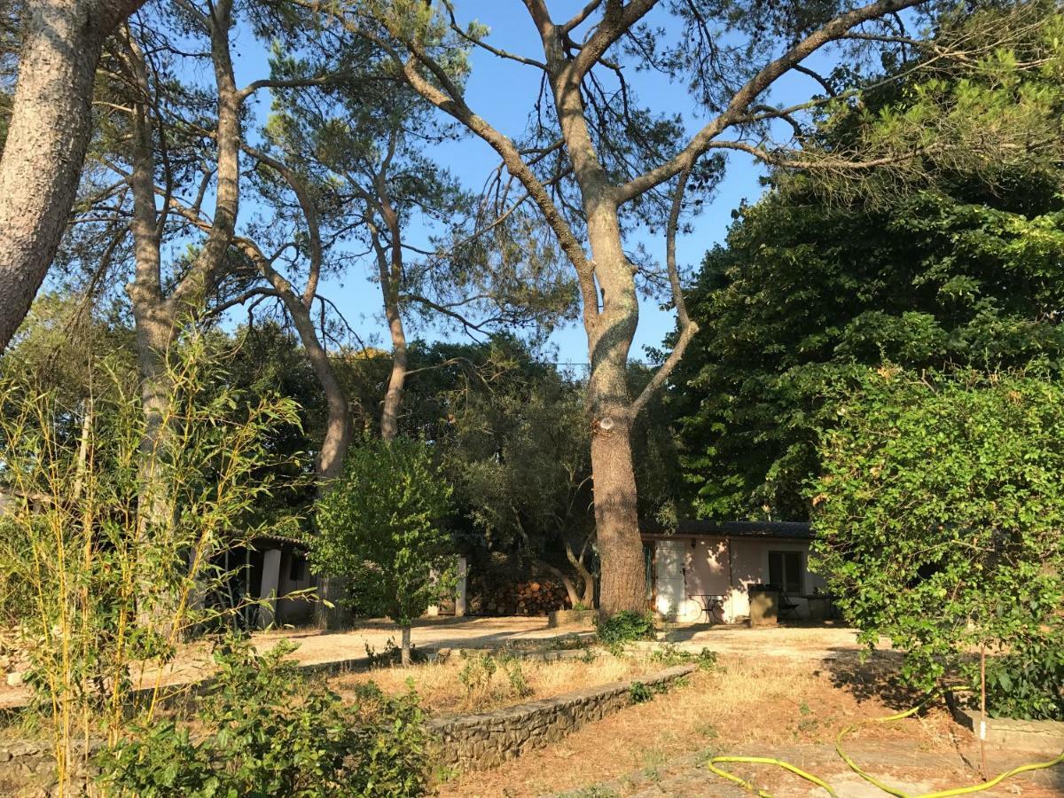Mazet Proche Golf Villa Nîmes Exteriör bild